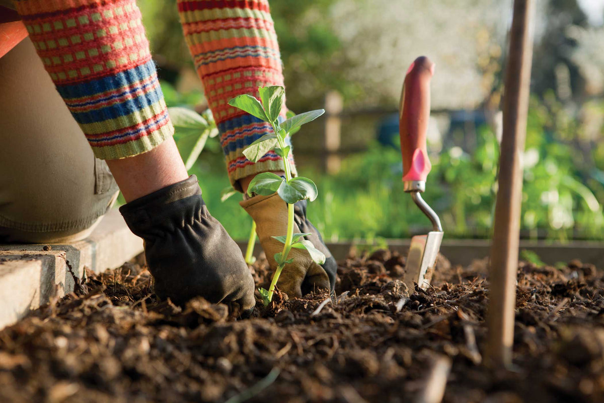 ⁠Gardening
