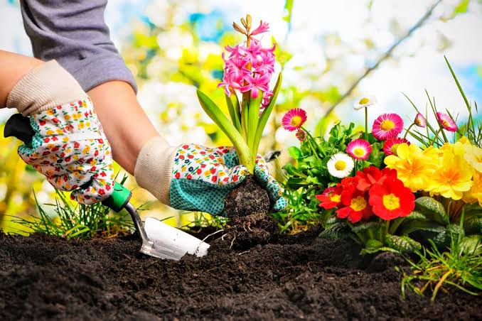 ⁠Gardening