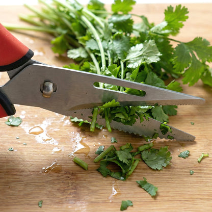 Close-up of Kitchen Scissors blades and handle
