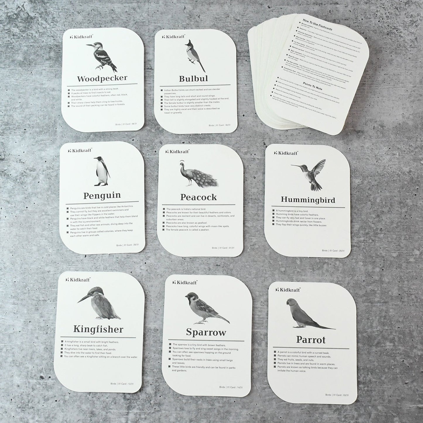 Montessori-aligned bird flashcards promoting sensory and cognitive learning for toddlers