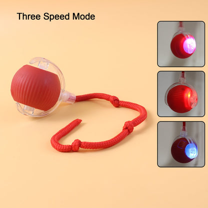 LED light interactive cat toy ball with detachable braided tail on a clean surface