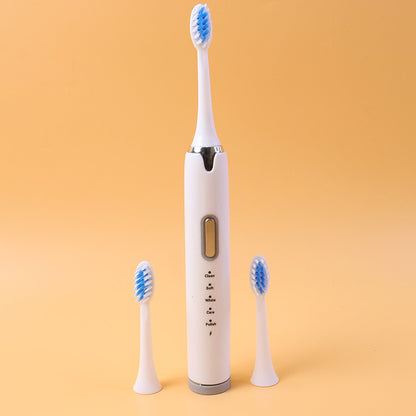 Electric toothbrush set showing toothbrush with brush heads