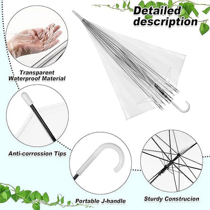 Side view of transparent dome umbrella showing canopy shape and structure